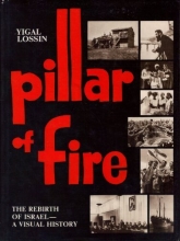Cover art for Pillar of fire: The rebirth of Israel--a visual history