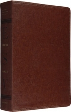 Cover art for ESV Study Bible (TruTone, Natural Brown)