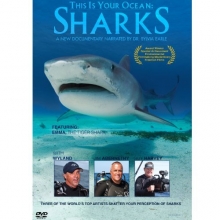 Cover art for This is Your Ocean: Sharks