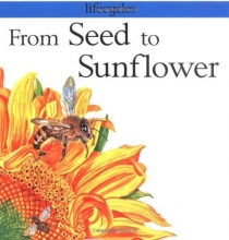 Cover art for From Seed to Sunflower (Lifecycles)