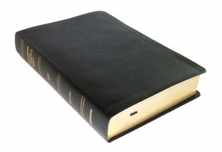 Cover art for Thompson Chain Reference Bible-NIV ( indexed)