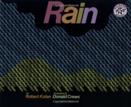 Cover art for Rain