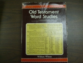 Cover art for Old Testament Word Studies: An English Hebrew and Chaldee Lexicon and Concordance