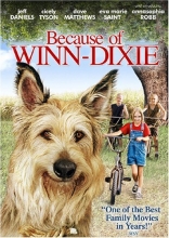 Cover art for Because of Winn-Dixie