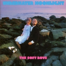 Cover art for Underwater Moonlight . . . And How It Got There