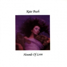 Cover art for Hounds of Love