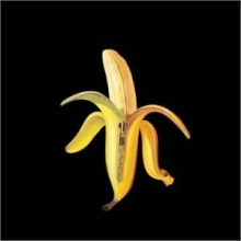 Cover art for Welcome To The Monkey House