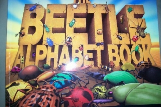 Cover art for The Beetle Alphabet Book