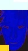 Cover art for Warhol (Art Guide)