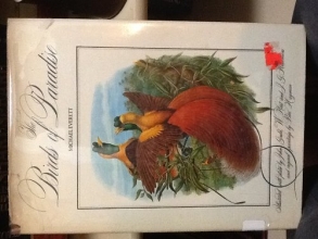 Cover art for The Birds of Paradise