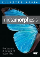 Cover art for Metamorphosis: The Beauty and Design of Butterflies
