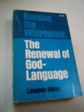 Cover art for Naming the Whirlwind: The Renewal of God-Language