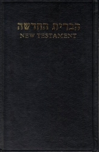 Cover art for The New Testament in Hebrew and English
