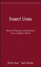 Cover art for Insect Lives: Stories of Mystery and Romance from a Hidden World