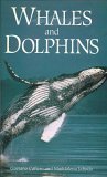 Cover art for Whales and Dolphins
