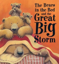 Cover art for The Bears in the Bed and the Great Big Storm