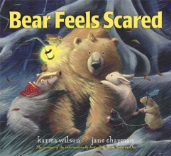 Cover art for Bear Feels Scared