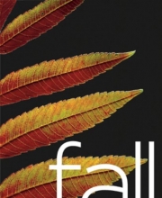 Cover art for Fall