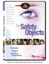 Cover art for The Safety of Objects