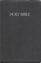 Cover art for Holy Bible: New Revised Standard Version Giant Print, Gray Leatherflex
