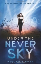 Cover art for Under the Never Sky
