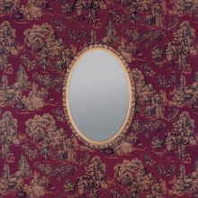 Cover art for Fevers & Mirrors