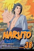 Cover art for Naruto, Vol. 38: Practice Makes Perfect