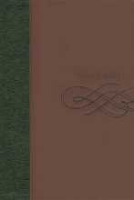 Cover art for The King James Study Bible