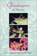 Cover art for Grasshoppers of Florida (Invertebrates of Florida)