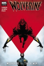 Cover art for Wolverine: Wolverine vs. the X-Men