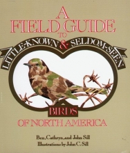 Cover art for A Field Guide to Little-Known and Seldom-Seen Birds of North America