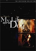Cover art for My Life as a Dog 