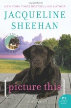 Cover art for Picture This: A Novel