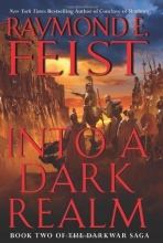 Cover art for Into a Dark Realm (The Darkwar Saga, Book 2)