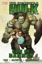 Cover art for Incredible Hulk, Vol. 1: Son of Banner