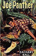 Cover art for Joe Panther