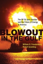 Cover art for Blowout in the Gulf: The BP Oil Spill Disaster and the Future of Energy in America