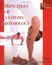 Cover art for Principles of Anatomy and Physiology, 10th Edition