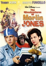 Cover art for The Misadventures of Merlin Jones