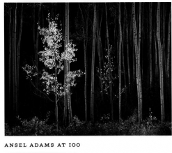 Cover art for Ansel Adams at 100