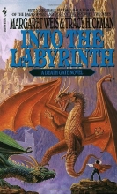 Cover art for Into the Labyrinth (Death Gate Cycle)