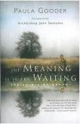 Cover art for The Meaning is in the Waiting: The Spirit of Advent