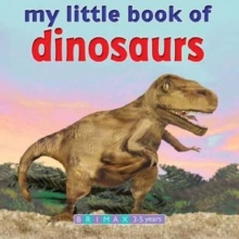 Cover art for My Little Book of Dinosaurs