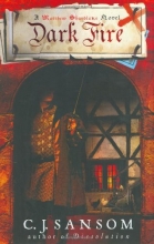 Cover art for Dark Fire: A Novel