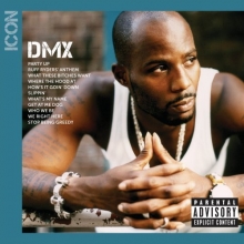 Cover art for Icon