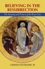 Cover art for Believing in the Resurrection: The Meaning and Promise of the Risen Jesus