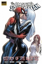Cover art for Spider-Man: Return of the Black Cat