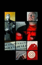 Cover art for Daredevil Vol. 13: The Man Without Fear, The Murdock Papers