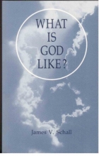 Cover art for What Is God Like? (Michael Glazier Books)