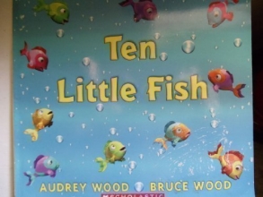 Cover art for Ten Little Fish